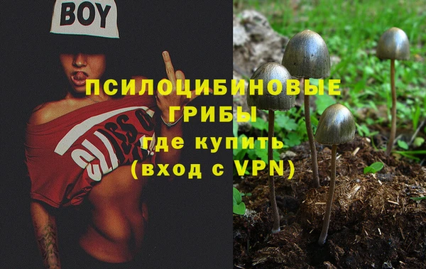 мескалин Покров
